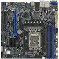Asus P13r-m Server Bundkort