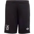 Adidas Liverpool Fc 25/26 Målmand Third Junior-shorts