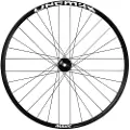 Mavic Deemax Park 29´´ Int Boost Mtb Forhjul