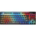 SteelSeries Apex Pro Tkl Trådløst Gamingtastatur Engelsk