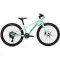 Specialized Riprock 24´´ Advent 2026 Mtb Cykel
