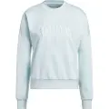 Adidas Cozy Holiday Graphic Sweatshirt