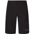 Oakley Apparel Seeker Airline Chamois Shorts