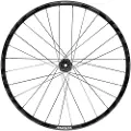 Mavic Deemax Dh 29´´ Int Boost Mtb Baghjul