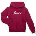 Levi's Sweatshirts Levis LVG POSTER LOGO HOODIE barn 3 år