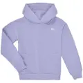 Levi's Sweatshirts Levis LVG-BATWING CHEST HIT HOODIE barn 14 år
