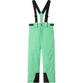 Name It Kids Slope10 Limited Edition Bukser