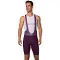 Pearl Izumi Expedition Cykelshorts