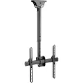 Techly 50 kg 55" 200 x 200 mm