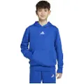 Adidas Essentials Hættetrøje