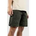 Blue Tomato Acid Shorts grøn