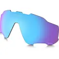 Oakley Jawbreaker Prizm Polariseret Linse