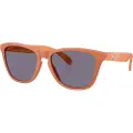 Oakley Frogskins Solbriller