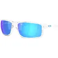 Oakley Gibston Xl Polariserede Solbriller