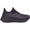 Adidas Ultraboost 5 Goretex Løbesko
