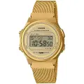 Casio A171wemg-9aef Dameur
