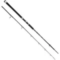 Spro Salty Beast Pilk Fast Jigging Stang