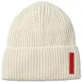 The Mountain Studio Are Beanie