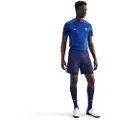 Nike Kortærmet FFF Academy Pro Nike Dri-FIT-fodboldopvarmningstrøje til mænd - blå