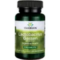 Swanson Health Lactobacillus Gasseri - 60 vegetabilske kapsler