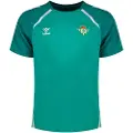 Hummel Real Betis 25/26 Lead 2.0 T-shirt Med Korte ærmer