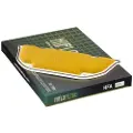 Hiflofiltro Kawasaki Hfa2905 Luftfilter