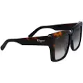Ferragamo Sf1060s Solbriller Til Kvinder