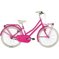 Alpina Olandesina 24´´ 1s Cykel