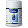 Puur Kidney - 300 tabletter