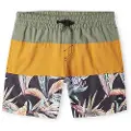O'Neill Cali Block 13´´ Badeshorts