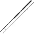Ugly Stik Bigwater Boat Trollingstang
