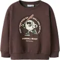 Name it Normal Pasform Sweatshirt