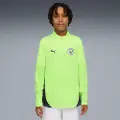 Puma Manchester City Training Quarter-Zip Top Youth, Clothing, Fizzy Apple/Blue Violet, 7-8Y