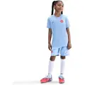 Nike Kortærmet Erling Haaland Academy Dri-FIT-fodboldtrøje til større børn - blå