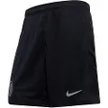 Nike Chelsea FC 2025/26 Stadium Third Nike Dri-FIT Total 90-replica-fodboldshorts til mænd - sort