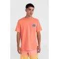 O'Neill Beach Graphic T-shirt Med Korte ærmer