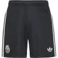 Adidas Fc Bayern 25/26 Third Shorts