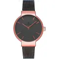 Radiant Ra528601t Dameur