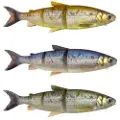 Savage Gear 3d Line Thru Whitefish Blødt Agn 217g 270 Mm