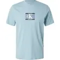 Calvin Klein Calvin Kleintil mænd. LV04RC854G T-shirt 30'erne Box Graphic grønlig blå (XL), Casual, Bomuld, Korte ærmer