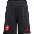 Adidas Liverpool Fc 25/26 Væk Junior-shorts