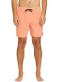 Volcom Center 17´´ Badeshorts