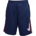 Nike Trophy23 Dri-FIT-shorts til større børn - blå