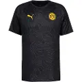 Puma Borussia Dortmund Pre-match Jersey Men, Sport, Black/Yellow Sizzle, M