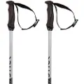 Völkl Phantastick 18mm Spadserestokke