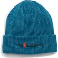 Black Diamond Merino Beanie