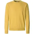 Pepe Jeans Pepe Jeanstil mænd. PM7000013 Jumper Andre gul (XXL), Casual, Bomuld