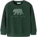 Name It Mini Regular Fit Sweatshirt