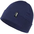 Atomic Alps Rolled Cuff Beanie
