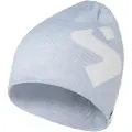 Sweet Protection Icon Beanie